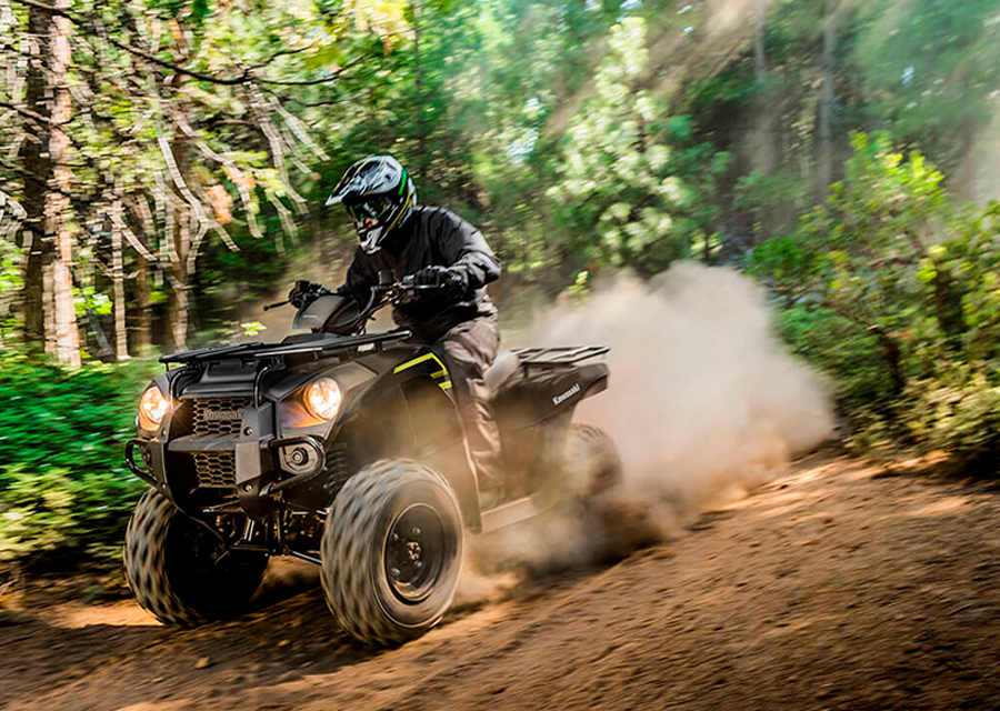 Brute Force 300