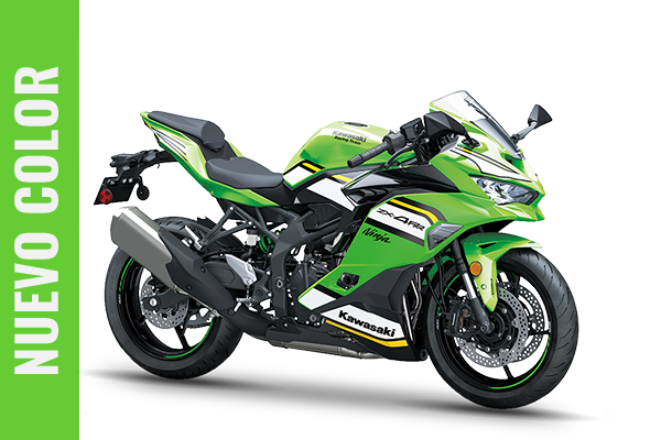 Ninja ZX 4 RR (1) [M3421]